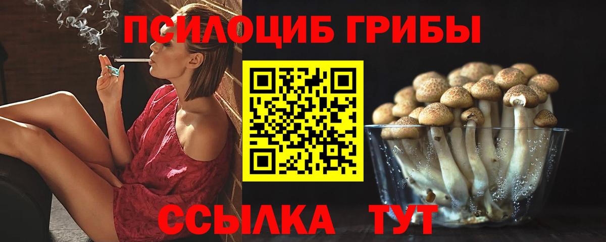 Галлюциногенные грибы Psilocybine cubensis  Вход с VPN  Саров 